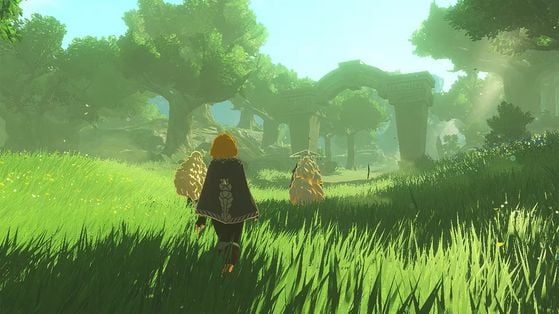 Nintendo ne permettra pas à tout le monde de profiter des bonus incroyables du nouveau jeu Zelda