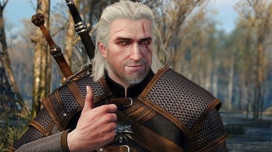 The Witcher 3 : Wild Hunt