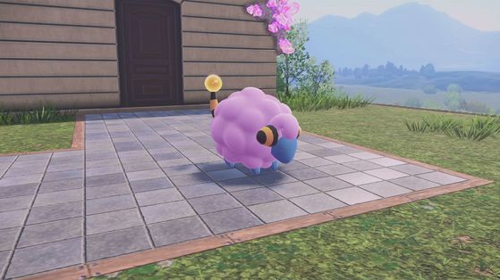 Légendes Pokémon Z-A