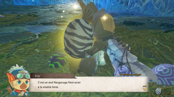 Monster Hunter Stories 3 : Twisted Reflection