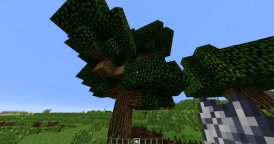 Faire pousser des arbres géants