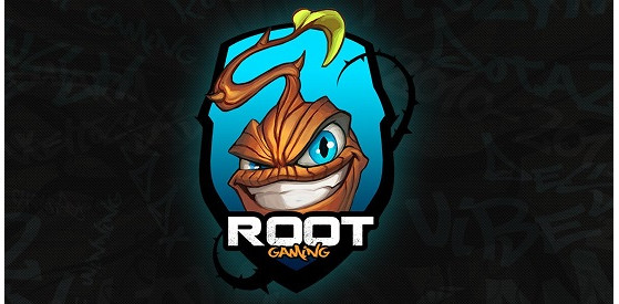 puCK et Nathanias quittent ROOT Gaming