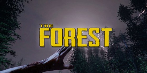 The Forest : Multijoueur en vue
