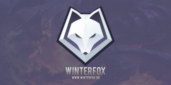 CSGO : Mythic devient Winterfox