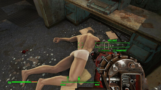 36 - Fallout 4