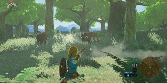 Zelda Breath of the Wild Nouvelles images