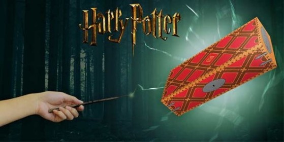 Wootbox spéciale 100 % Harry Potter