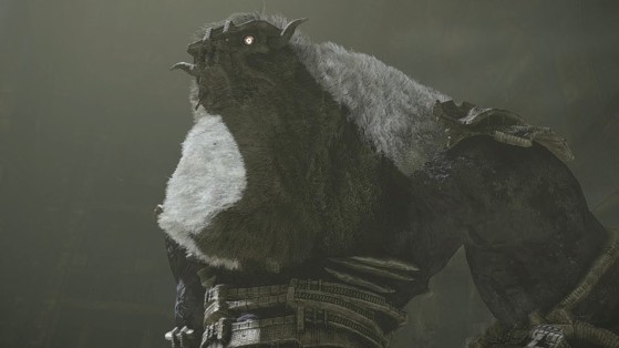 Shadow of the Colossus PS4 : Colosse 6, Barba
