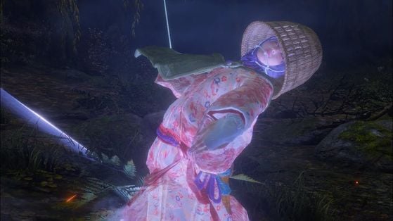 Sekiro : Shadows Die Twice