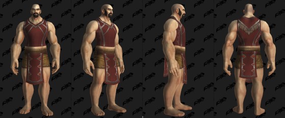 Tabard de la Horde - World of Warcraft