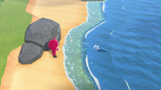 Animal Crossing New Horizons : liste des poissons de novembre hémisphère nord et sud