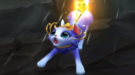 Yuumi, le chat qu'on adore détester - League of Legends
