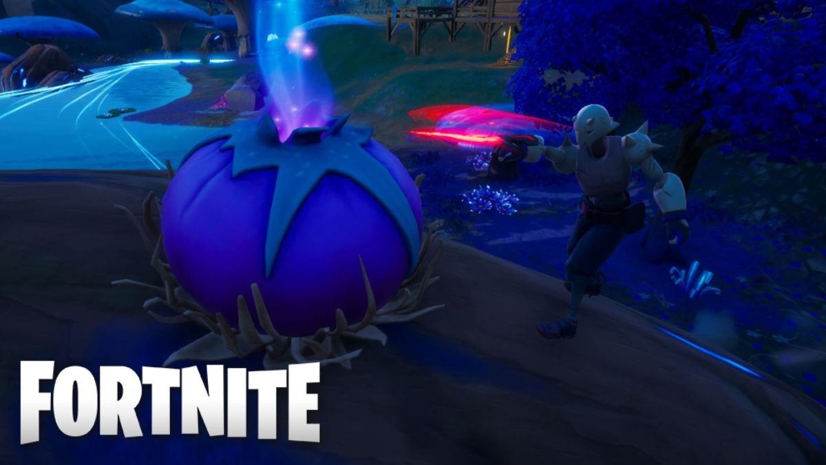 Ouvrir De Force Des Cosses De Graine De Realite Ouvrir de force des cosses de graines de réalité Fortnite : comment faire  pour ce défi - Millenium