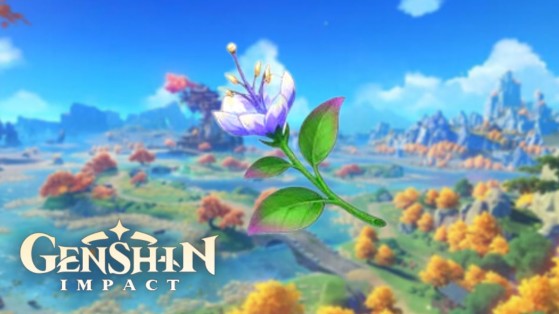 Genshin Impact : padisachidée, où trouver cette ressource ?