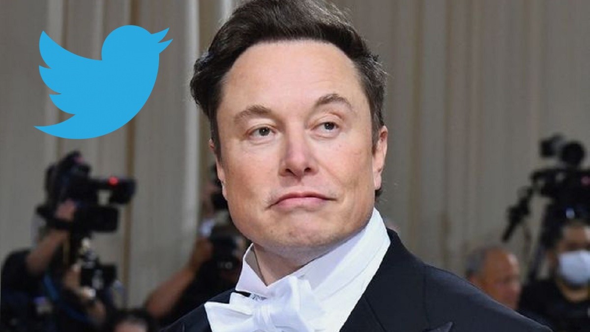 Elon Musk devient le "chef de Twitter" et répond aux haineux - Millenium