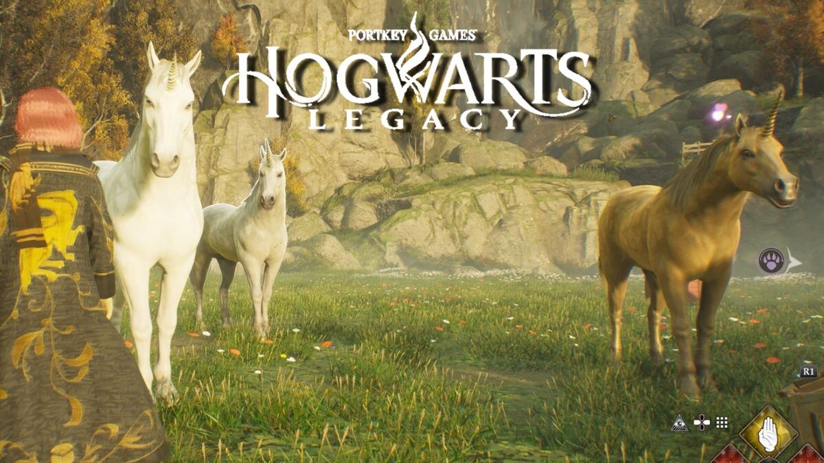 Licorne Hogwarts Legacy : Lieu de capture, coloris, shiny... Tout savoir  sur la créature magique - Millenium