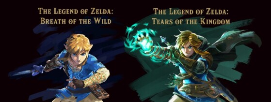 Image : Nintendo - The Legend of Zelda : Tears of the Kingdom