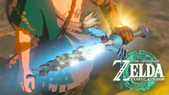 Zelda Tears of the Kingdom : 'Chaque jour tu me manques', les joueurs regrettent l'absence de cette arme en jeu