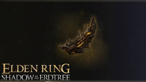 Esquille de l'arbre-occulte Elden Ring Shadow of the Erdtree : Liste, où toutes les trouver ?