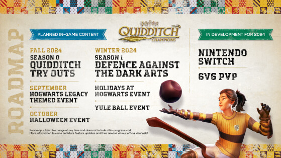 Harry Potter : Champions de Quidditch