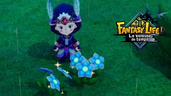 Mandragonne Fantasy Life i : Comment obtenir des fleurs bleues en grosse quantité sur La Voleuse de Temps ?