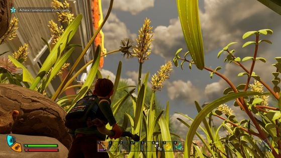Graines d'herbe à récolter dans Grounded 2 - Grounded 2