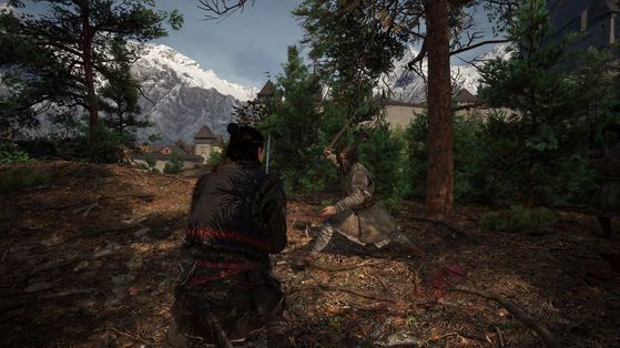 The Blood of Dawnwalker