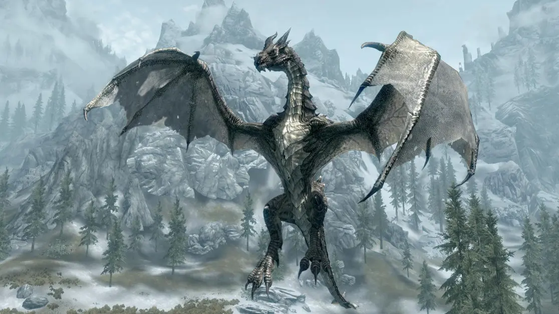The Elder Scrolls V : Skyrim
