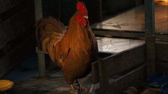 Lit pour chat Arc Raiders : Où trouver cet objet pour améliorer Coquillard ?