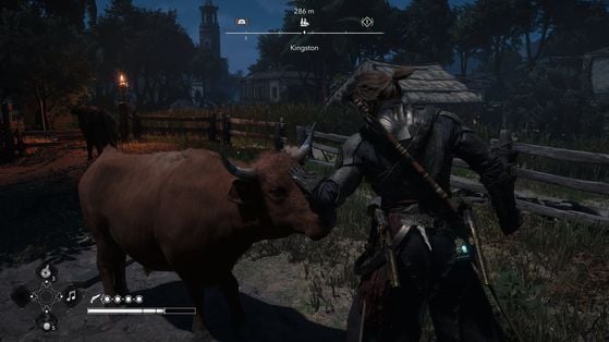 Assassin's Creed Black Flag Resynced