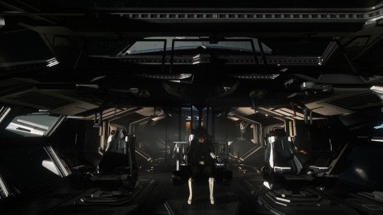 Le cockpit vu de face - Star Citizen