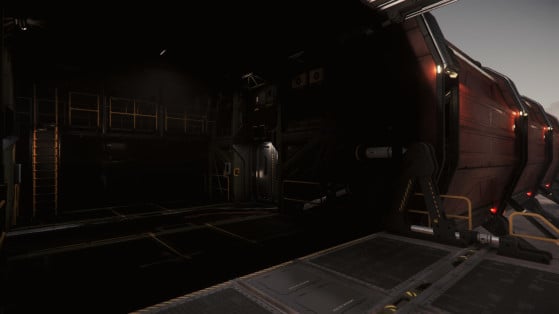 Un module latéral - Star Citizen
