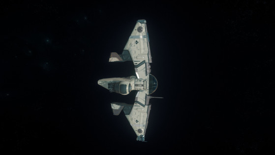 De profil - Star Citizen