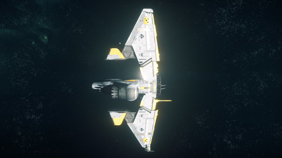 De profil - Star Citizen