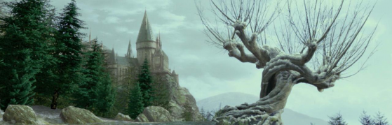 'Tu connais le Saule cogneur. Il... il n'aime pas du tout qu'on lui tombe dessus.' - Harry Potter Wizards Unite