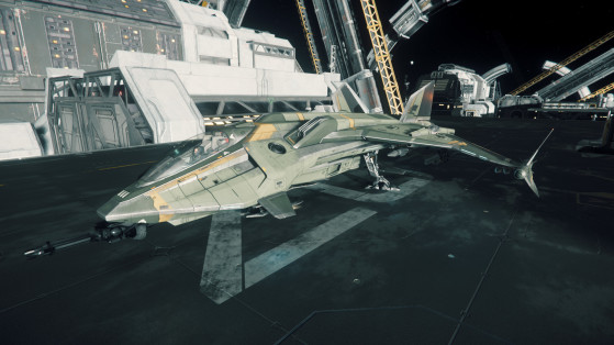 Prêt au décollage - Star Citizen