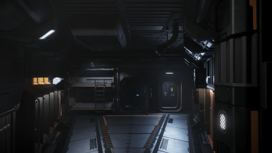 En sortant du siège pilote - Star Citizen