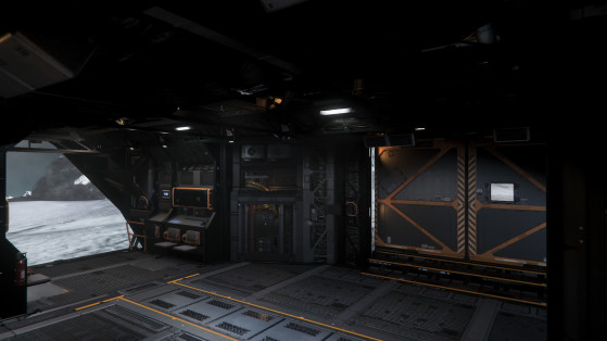 La soute à cargo - Star Citizen