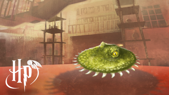 Trouver, capturer, libérer